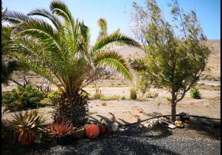 Casa La Solapa Villa Pajara  Luaran gambar